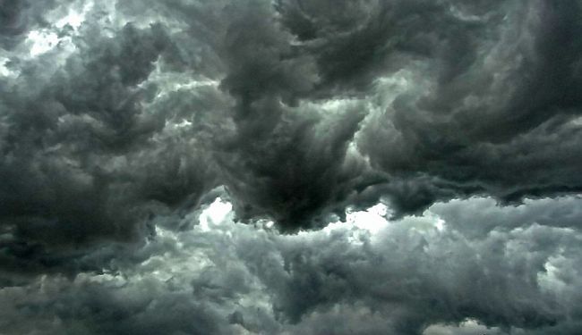 REČNIK PARAKNJIŽEVNIH TERMINA: Dve najstarije srpske reči - Bećković i Pantić