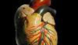 Lupiga nagrađuje "Rebrom" iliti "Otkrijte tko stoji iza liječničkog štrajka"