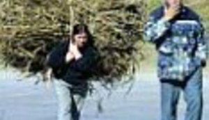 Sasvim prirodan odnos