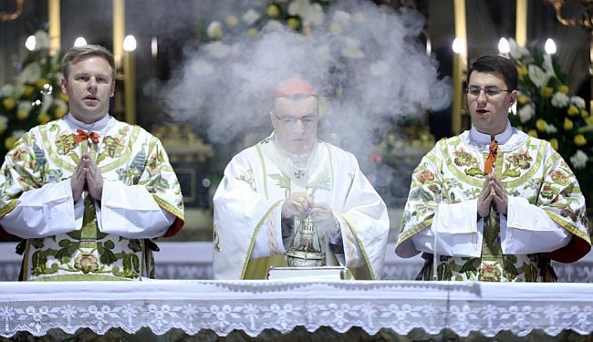 SINAN GUDŽEVIĆ: Pismo kardinalu Bozaniću