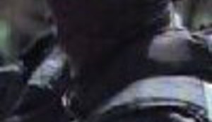 Al' je lepo u komšijskoj bašti!