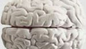 Droga mijenja mozak - ovaj put bukvalno.