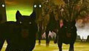 Sodoma i Gomora 21. stoljeća