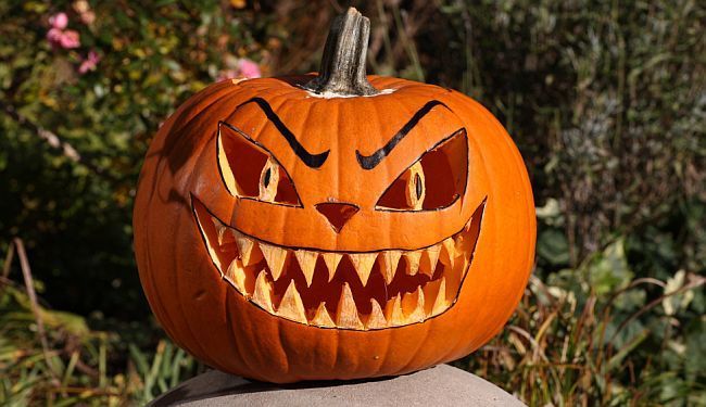 UZ ZABRANU NOĆI VJEŠTICA: Utjerivanje pravoslavlja u djecu