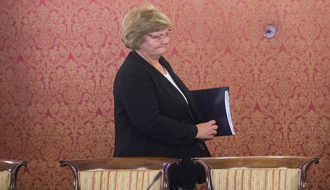 TKO STOJI IZA SKANDALOZNOG RJEŠENJA: Ovo su članovi Radne skupine prema kojoj obitelj bez djece nije obitelj