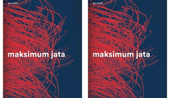 MAKSIMUM JATA: Knjiga bez fabule, knjiga stanja, atmosfere i raspoloženja - odreda sivih