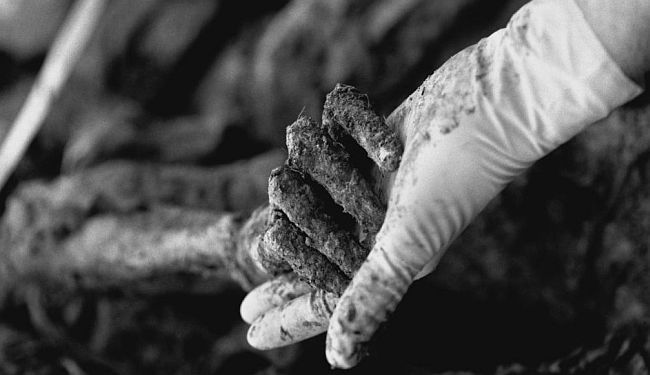 POTRESNI KOMENTAR: Oprosti nam Fatima!