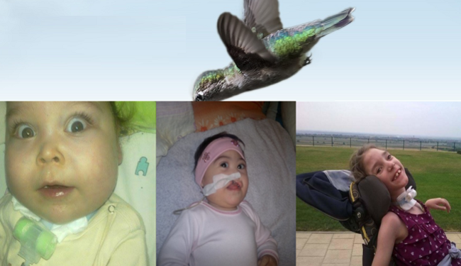 KOLIBRIĆI ZGROŽENI KUJUNDŽIĆEVIM PRIJEDLOGOM: Naša djeca žele samo jedno – živjeti