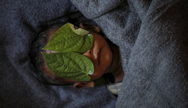 DAMIR ŠAGOLJ: Kako smo dobili Pulitzera