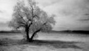 GostLupež učestio, kao i najavljivanje!