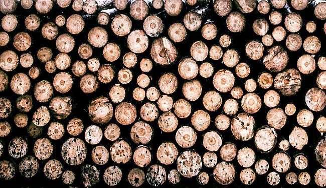 AUTORI(CE) U GOSTIMA PONEDJELJKOM: Pet pjesama Monike Herceg