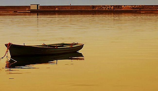 BILJEŽNICA ROBIJA K.: Dida sa Šolte