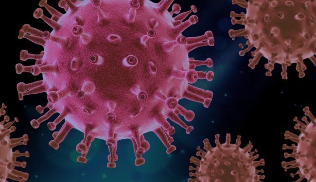 ŽIVOT S KORONAVIRUSOM: Kako nas je jedan mali infekt natjerao da progledamo