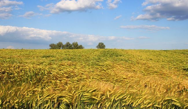 SLAVONSKA IZBORNA ENIGMA: Moguća su i danas potpuno nepojmljiva savezništva