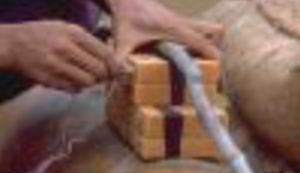 Preustroj neustrojenog ustroja