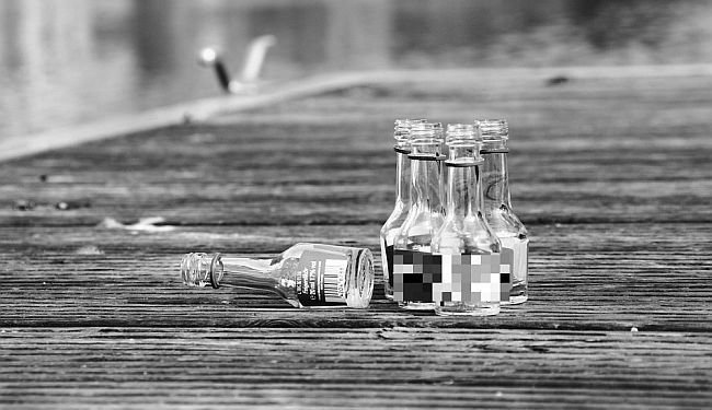 BILJEŽNICA ROBIJA K.: Sedam travarica