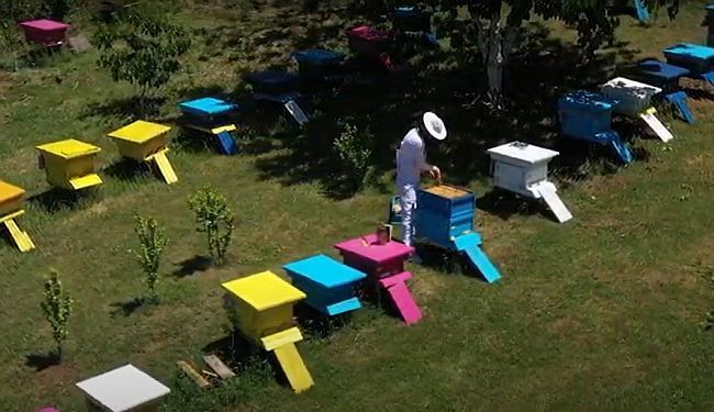 I OVO IMA NA BALKANU: Najbolji primjeri zelenog poslovanja u regiji (VIDEO)