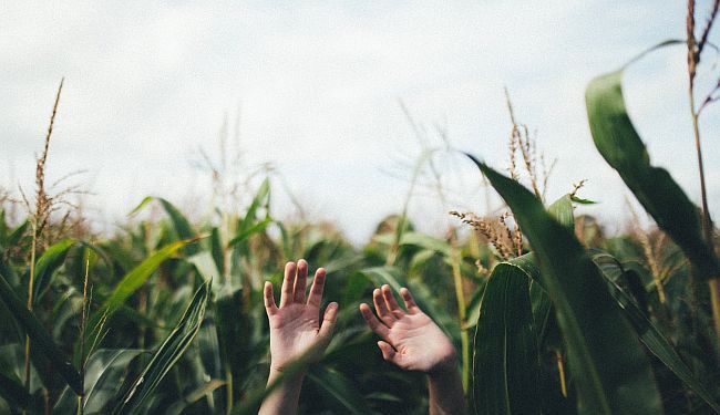 KORUPCIJSKA MREŽA: Bolna točka koja davi Kosovo