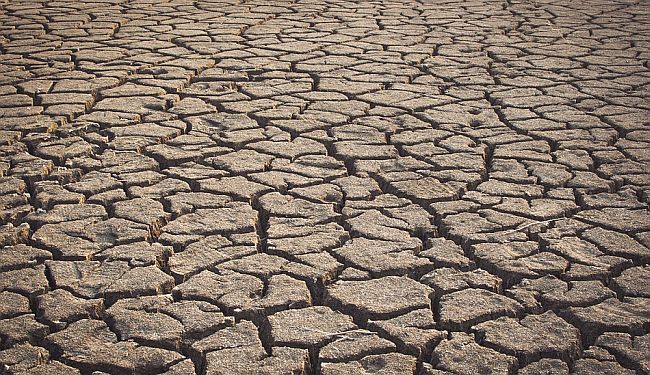 ZLOKOBNO LJETO '90: Nemilosrdna stupica smrti