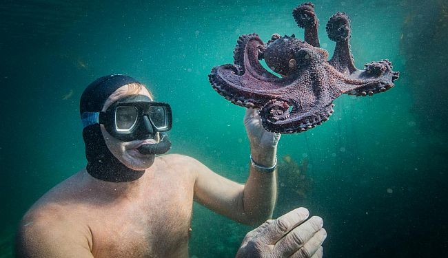 HOBOTNICA I JA: Najneverovatnija ljubavna priča koju je moguće zamisliti