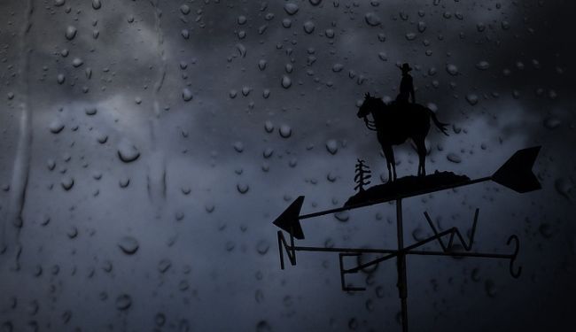 ZRNA CIVILIZACIJE: Renesansa nakon kuge