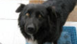 Branit ćemo ono što je naše