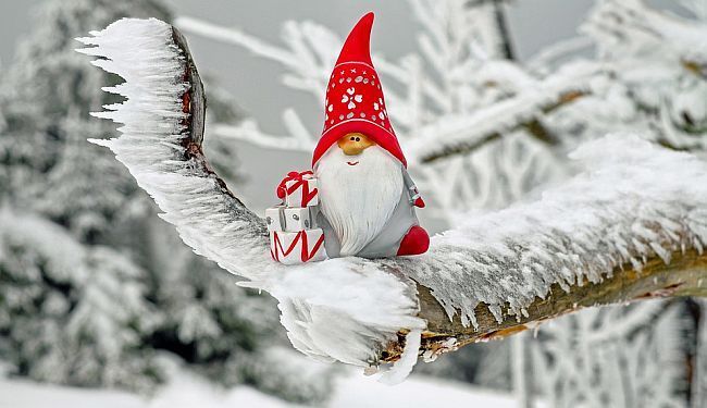 BILJEŽNICA ROBIJA K.: Mir u svitu