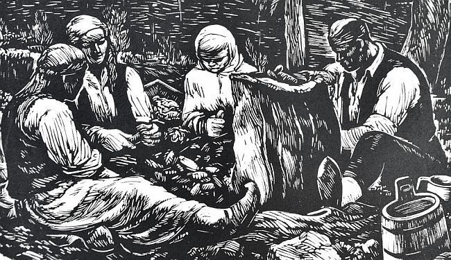 ALMIN KAPLAN: Branko iz našeg sela