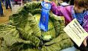 Čudovišna glavetina!