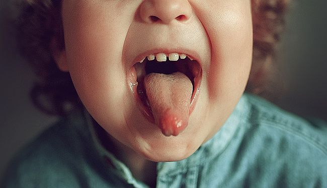 HRVATSKO DRUŠTVO PISACA PROTIV ZAKONA O JEZIKU: „Izgleda da je jedini cilj čišćenje od 'srbizama'“