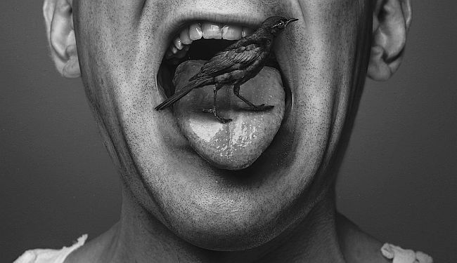 SRPSKA REČ ZA SRPSKI SVET: „Ovo su moji prijedlozi za doprinos srpskom jeziku“