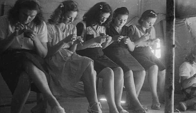 BESPLATNA PROJEKCIJA: Pogledajte hvaljeni dokumentarac „El Shatt – nacrt za utopiju”