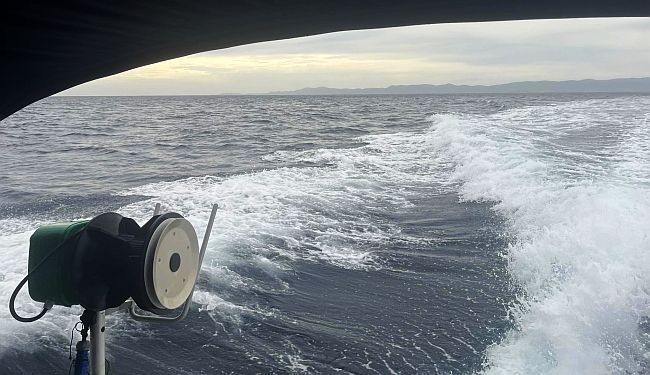 STVARNI (NE)ŽIVOT NA LASTOVU: Kad JADrolinija izigra