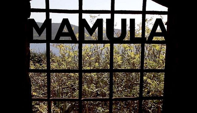 "MAMULA ALL INCLUSIVE": Spomenik našoj gluposti