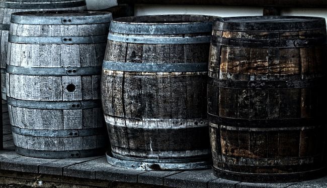 BILJEŽNICA ROBIJA K.: Didova smrt