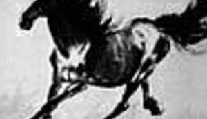 Dobro jutro Hrvatska - 20.09.2016.