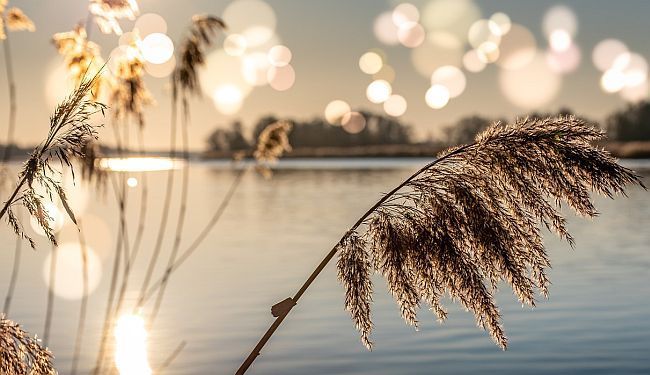 VODA PAMTI: Dan kad je moj otac odlučio da preplivamo Sanu