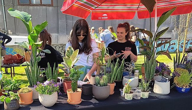 ZELENI PULS GRADA: Udahnuti život zapuštenom i oronulom Branimircu