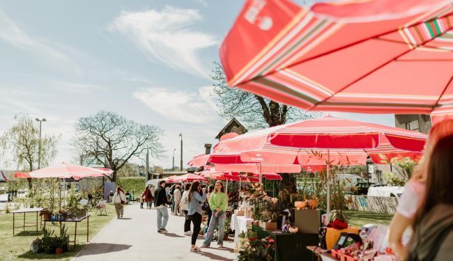 DAN ZA LJUDE I BILJKE: Plant Market na Branimircu uz zelenilo, film i glazbu