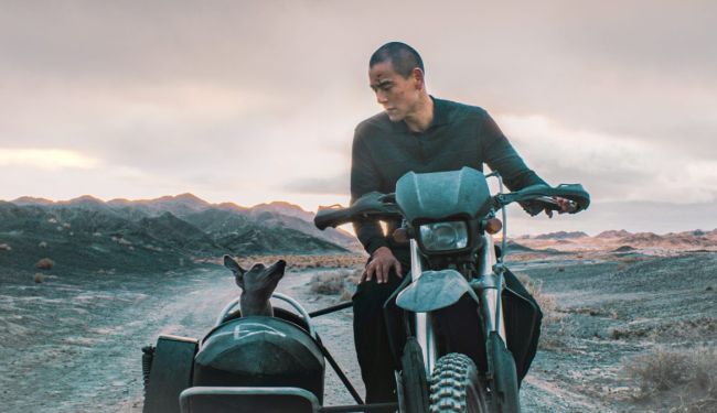 BLACK DOG: Pasji ugao