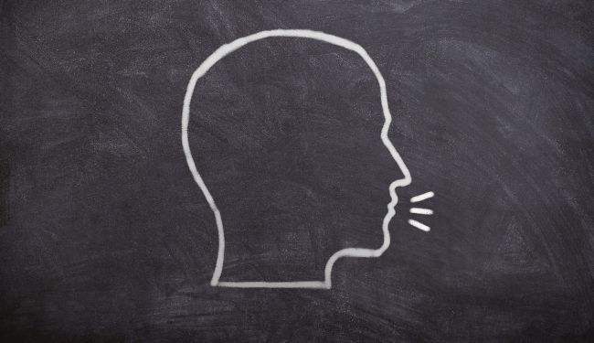 IVAN LOVRENOVIĆ: Moji turcizmi