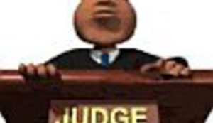 "Desanka Šakić" u francuskoj sudnici