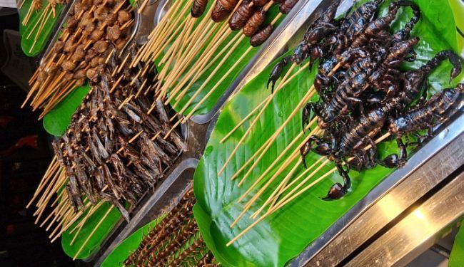 IZMEĐU STVARNOSTI I BAJKE: Od „Avatar planine“, preko prženih skakakavaca, do hanfu djevojaka