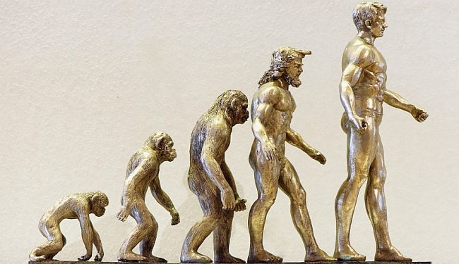 „STUPIDOGENO DRUŠTVO“: Živimo li u zlatnom dobu gluposti?