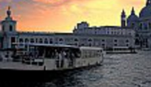 "Natezanje majmuna" u Veneciji