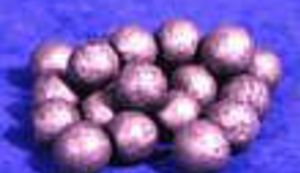 Neopreznog lovca salvom sačme