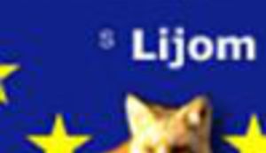 Neizvjesni izbori u Hrastovoj šumi