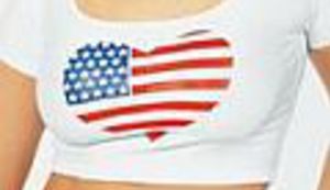 Odcjepljenje Vermonta od SAD-a?