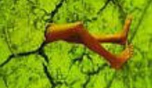 Web bogatiji za još jednu e-knjigu