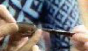 Budućnost iz kašika